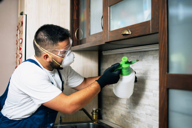 Best Commercial Pest Control Services  in Port Chester, NY