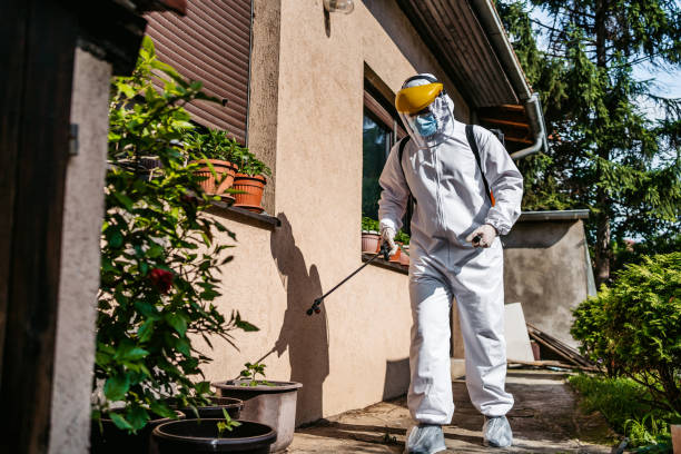Wildlife Control Services in Port Chester, NY