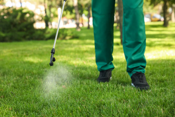 Best Affordable Pest Control Services  in Port Chester, NY