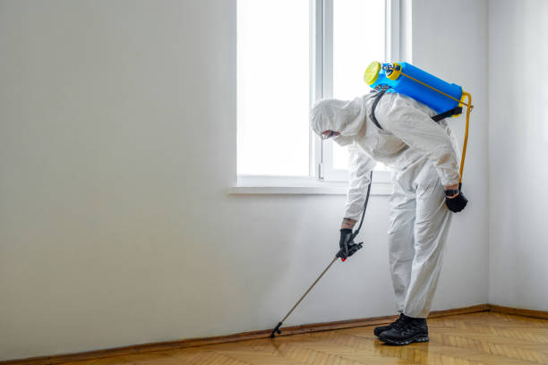 Port Chester, NY Pest Control Company