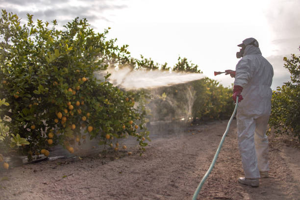 Best Pest Removal Services  in Port Chester, NY