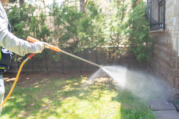 Best Wasp Removal Services  in Port Chester, NY