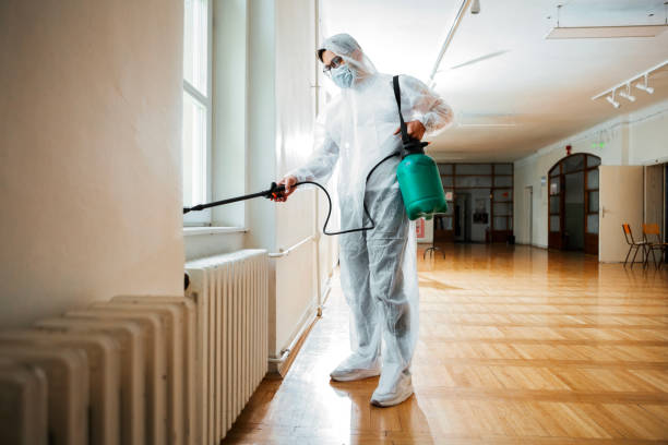 Best Local Pest Control Services  in Port Chester, NY