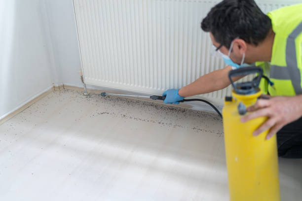Best Best Pest Control Companies  in Port Chester, NY